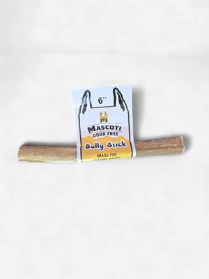 Mascoti Bully Stick Dog Chew 6 Inch