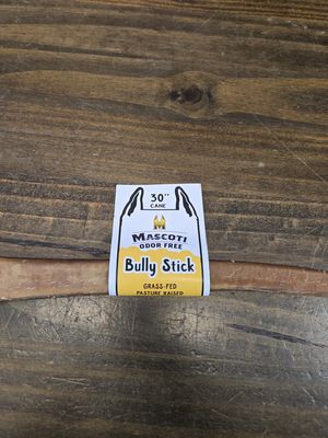 Mascoti Bully Stick Cane 30"