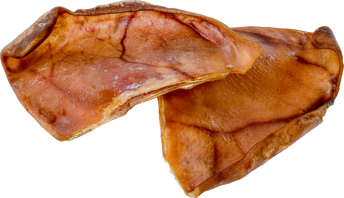 Raw Dog Pig Ear