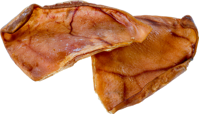 Raw Dog Pig Ear