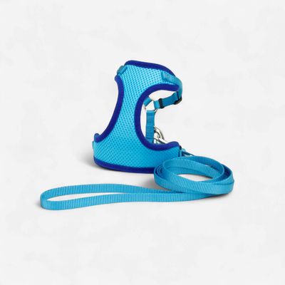 Coastal Comfort Soft Adjustable Cat Harness with 6 ft Leash Blue Lagoon