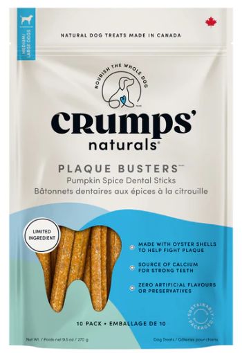 Plaque Busters Pumpkin Spice Dental Stick 9.5 Oz