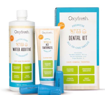Pet Dental Kit Large