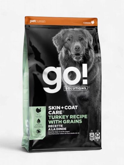 Go! Solutions Skin + Coat Care Turkey Recipe Dry Dog Food, Size: 3.5 Lb