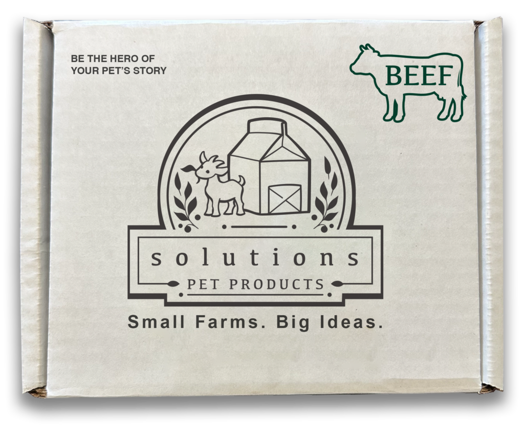 Solutions Raw Beef Recipe Frozen Dog Food Chubs 20 lb Box (20 x 1 lb)