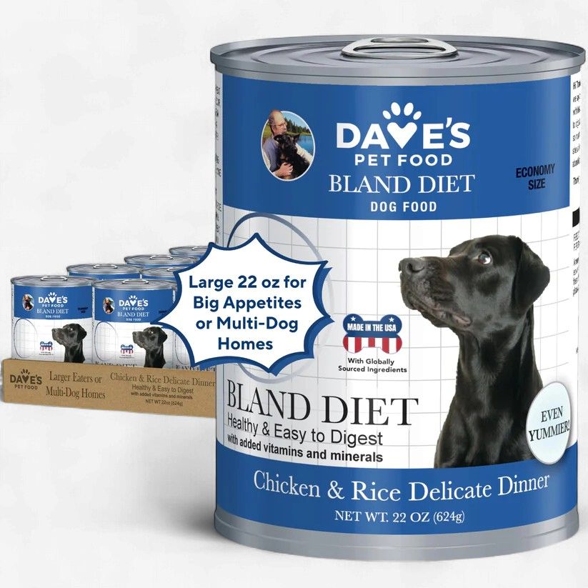Dave's Restricted Diet Bland Chicken &amp; Rice Wet Dog Food 22 Oz