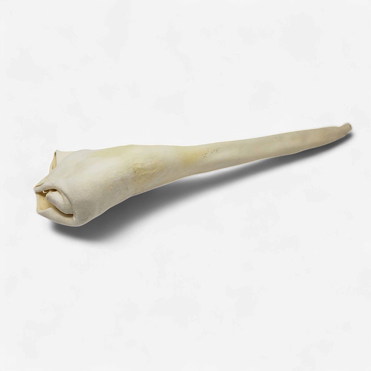 Home Range Full Length Bull Tail Dog Chew