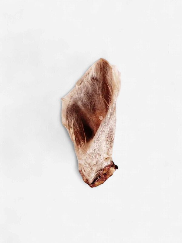 Hairy Beef Ear Natural Dog Chew