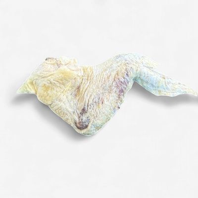 Golden Nibble Freeze-Dried Chicken Wing Dog Chew
