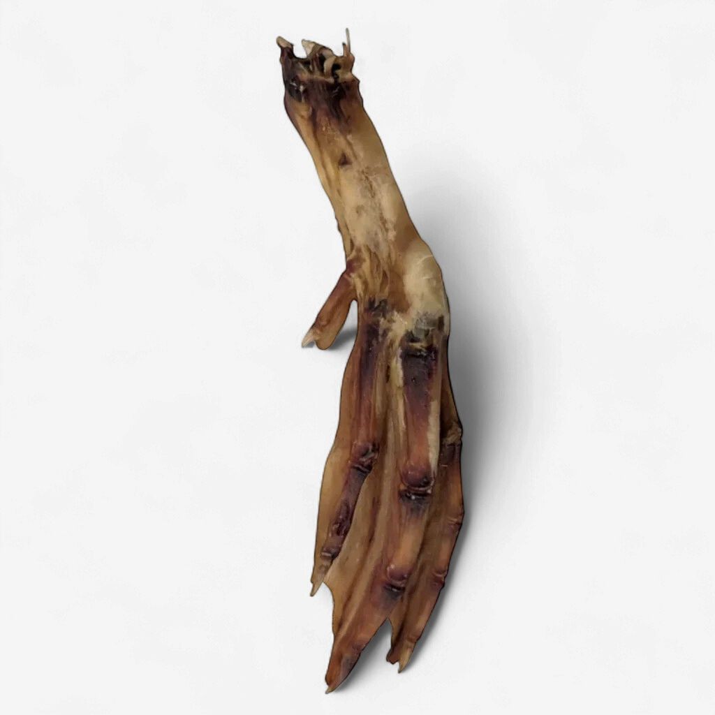 Furever Fierce Roasted Duck Feet Dog Chew