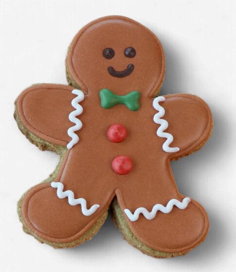 Pawstock Gingerbread Man Cookie Dog Treat