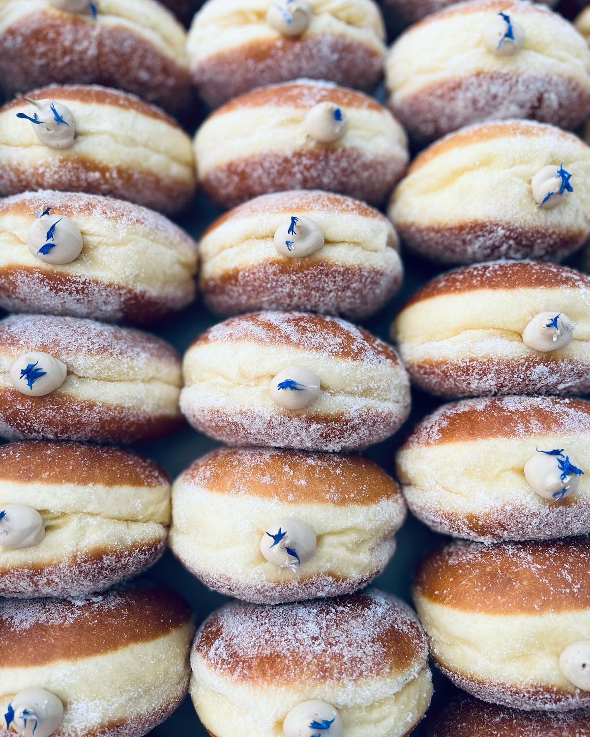 Malasada Box Preorder March 13,14,15