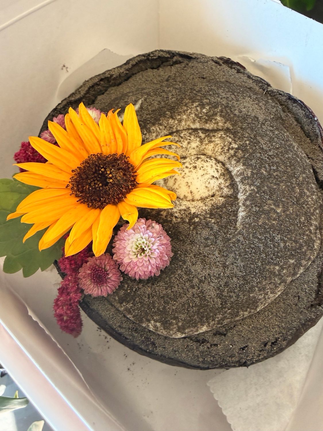 Black Sesame Mochi Cheesecake