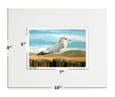 Birds - Ringed Bill Seagull - 8"x10" - Matted Print - #lew