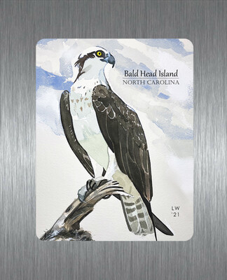 Birds - Osprey - Magnet - #lew