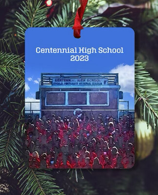 Ellicott City, MD - Ornament - Centennial High School - #centennialhs - #stephanie