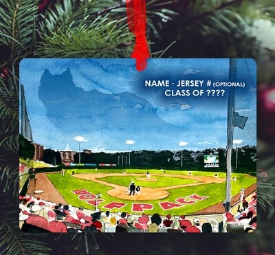 Raleigh, NC - NC State - Doak Field - Ornament - #pack #baseball