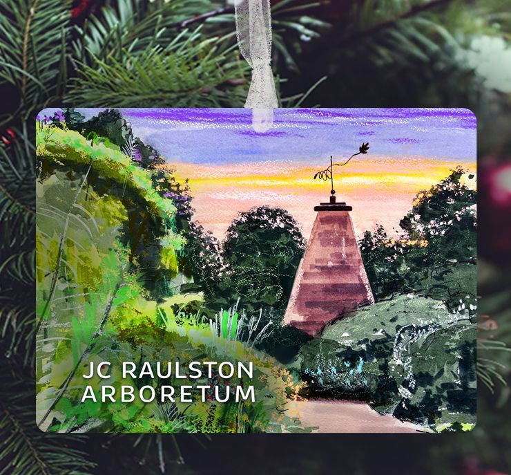 Raleigh, NC - Ornament - JC Raulston Arboretum - #lew