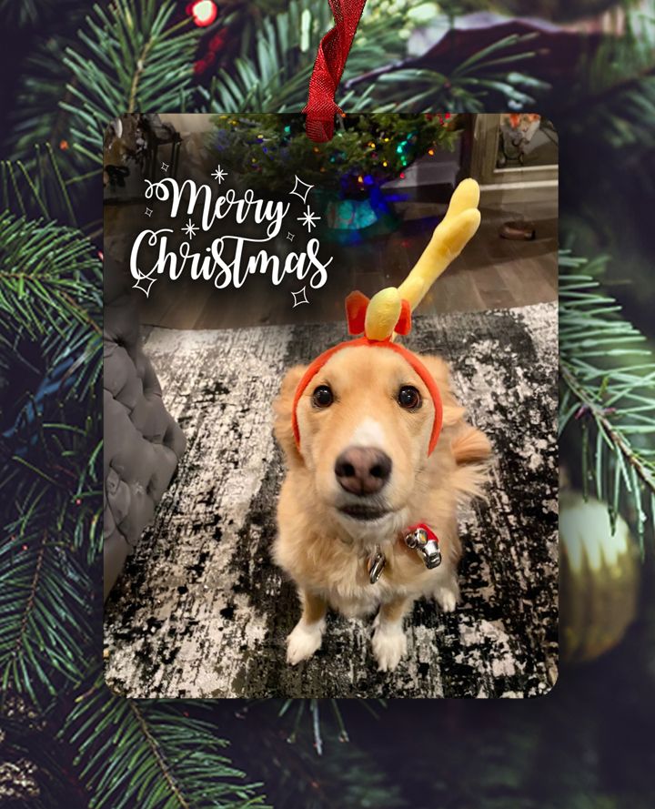 Woof Woof - Custom Photo Ornament - Ornament
