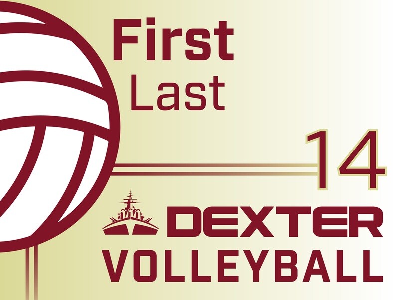 Volleyball Yard Sign