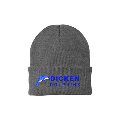 Knit Hat (Dicken Dolphins logo)