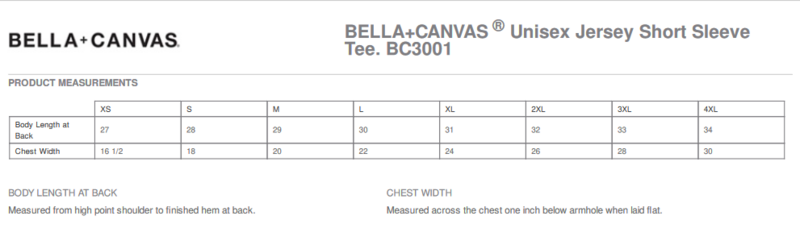 Unisex Jersey Short Sleeve Tee (Ash)