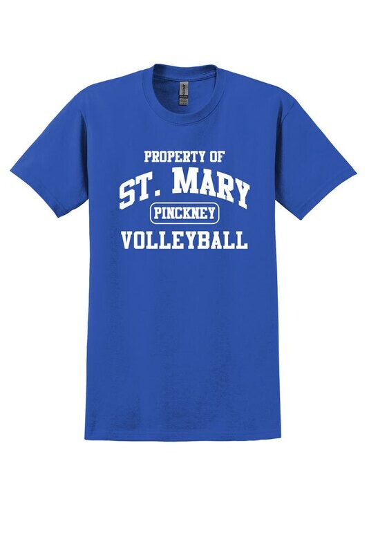 Sport Team Tees (Cotton or Performance)- Adult and Youth Sizes- Royal