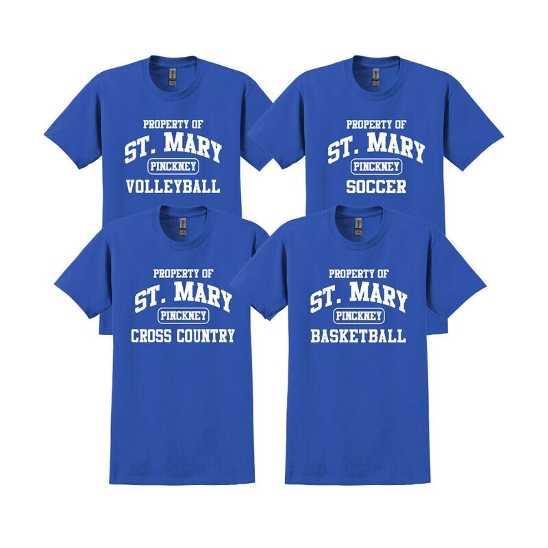 Sport Team Tees (Cotton or Performance)- Adult and Youth Sizes- Royal