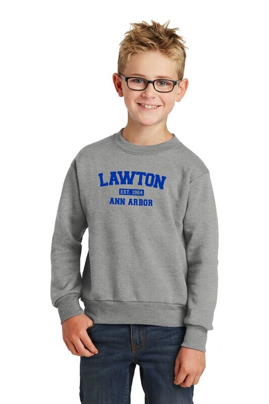 Youth Fleece Crewneck Sweatshirt-Royal or Heather Grey