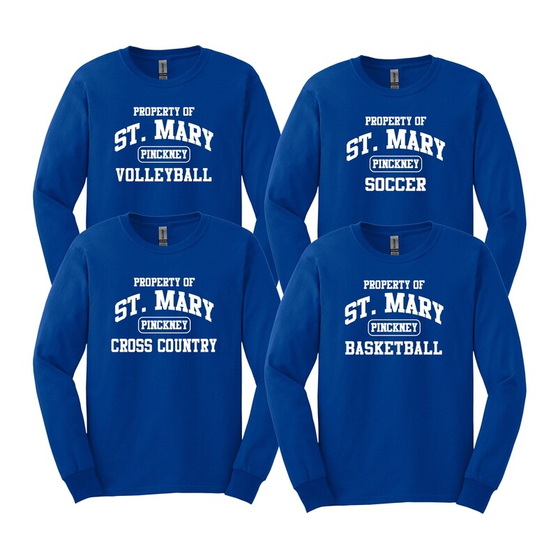 Sport Team Long Sleeve Tees (Cotton or Performance)- Adult and Youth Sizes- Royal