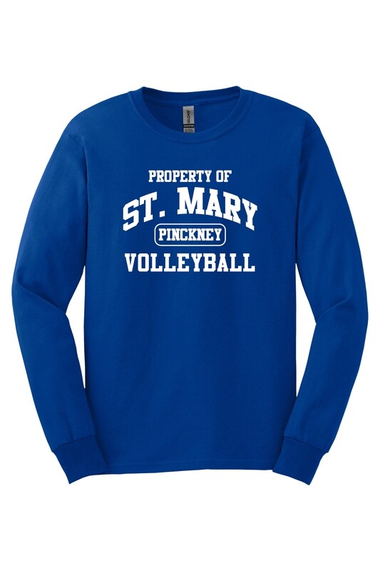 Sport Team Long Sleeve Tees (Cotton or Performance)- Adult and Youth Sizes- Royal