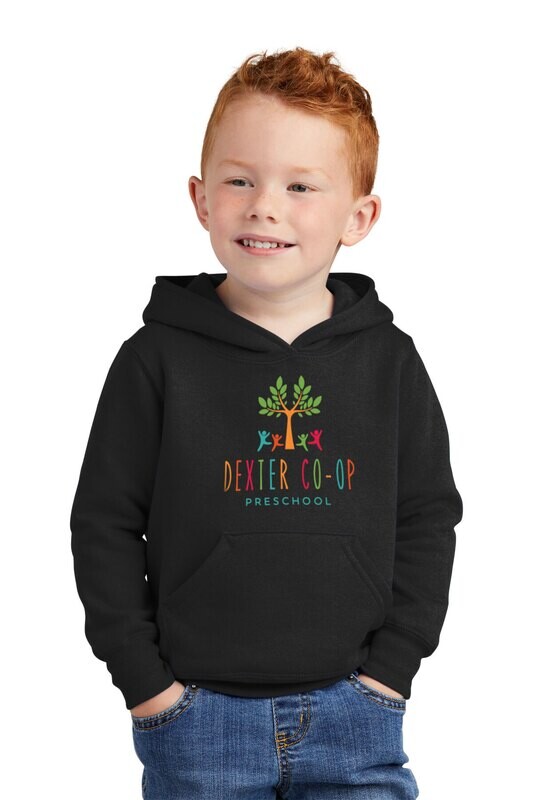 Toddler Fleece Pullover Hoodie- Black/ Navy