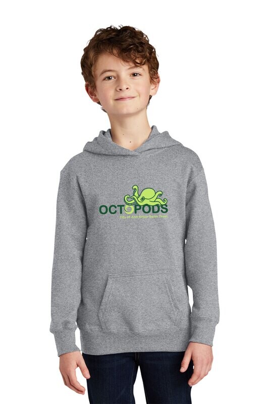 Youth Fan Favorite Fleece Pullover Hooded Sweatshirt- Ath Heather/White