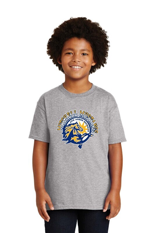 Youth Unisex Cotton Tee: Royal, Sport Grey, Light Pink, Jade Dome