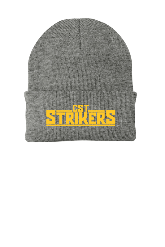 Knit Cap-Grey, Navy, Gold, Black, Royal