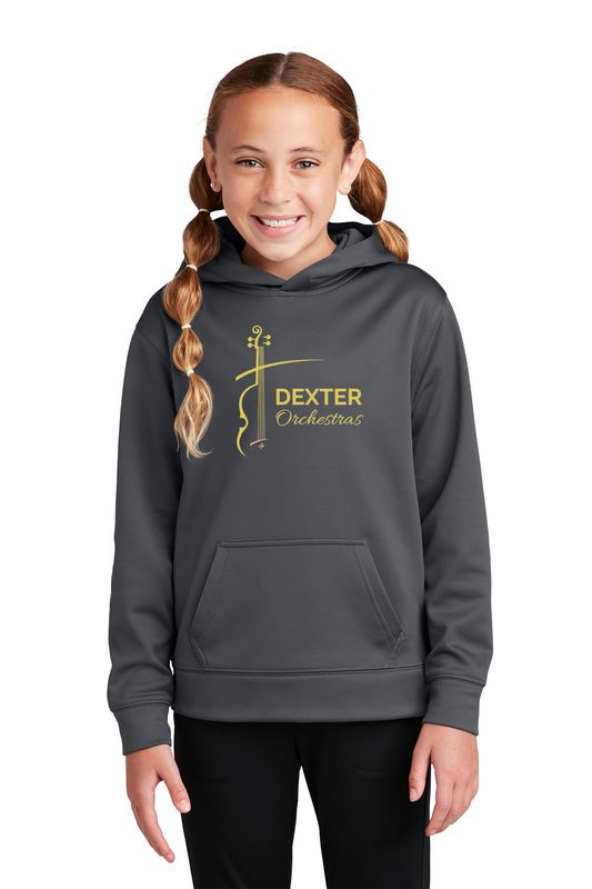Youth Performance Hooded Sweatshirt- Iron Grey, Black