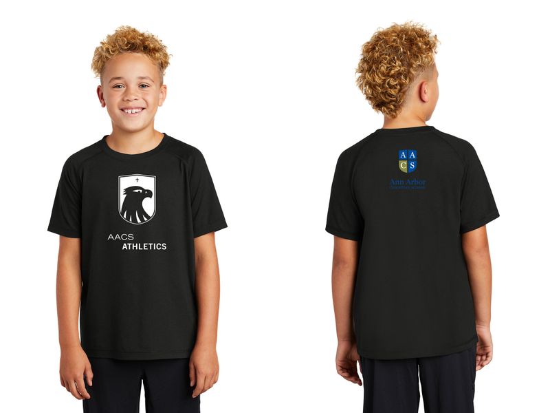 Youth Tri-Blend Wicking Scoop Neck Raglan Tee-Black, Light Grey Heather, Royal