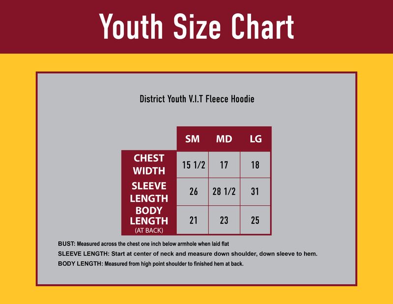 Youth District Fleece Hoodie- Royal Frost