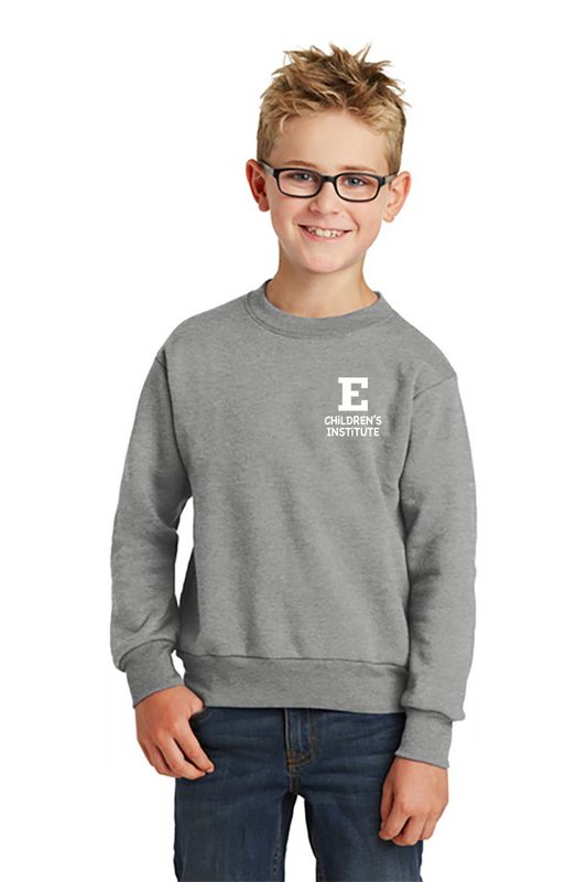 NEW: Youth Core Fleece Crewneck Sweatshirt-Athletic Heather, Carolina Blue, Sangria, Jet Black, Kelly, Dark Green, Purple, Red, Navy