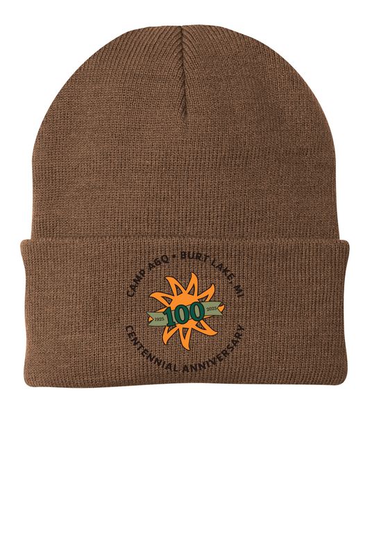 Knit Basic Beanie - Brown