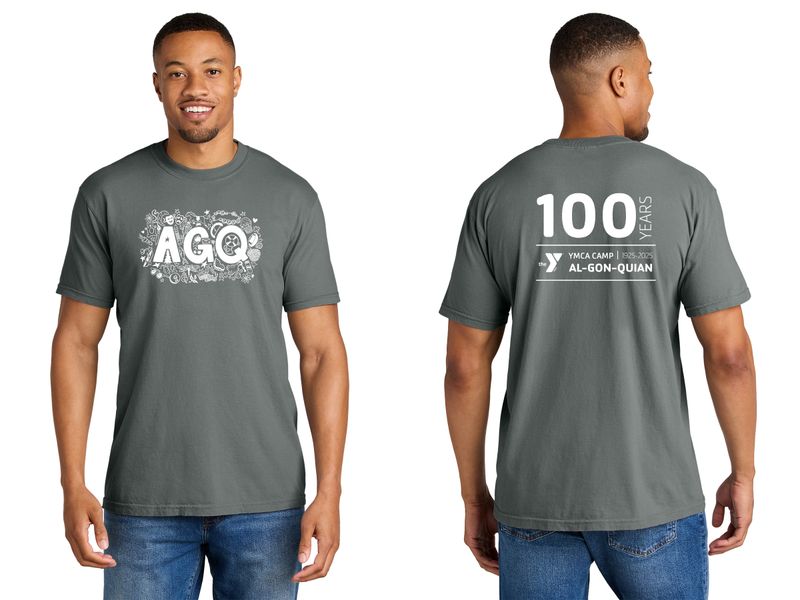 Comfort Colors® Heavyweight Ring Spun Tee - Grey