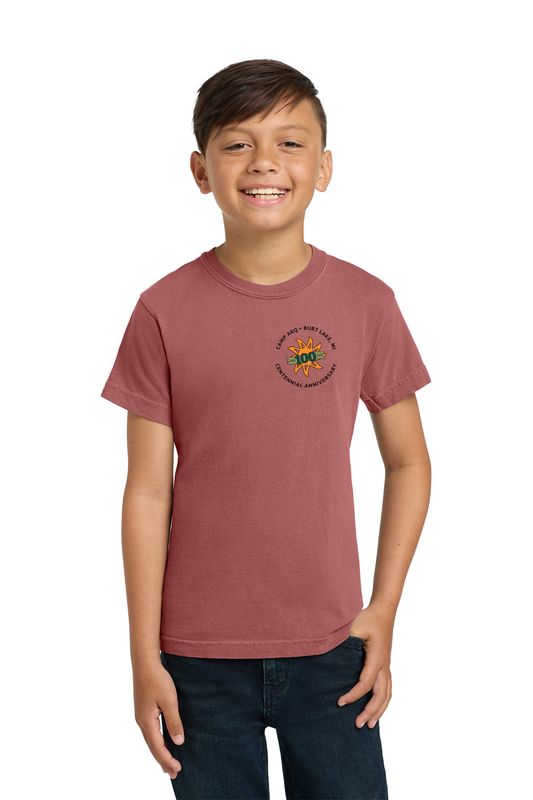 Comfort Colors® Youth Heavyweight Ring Spun Tee - Crimson