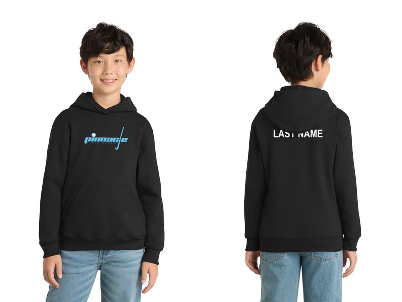 Youth Cotton Hooded Sweatshirt- Black, Carolina Blue, White, Athletic Heather
