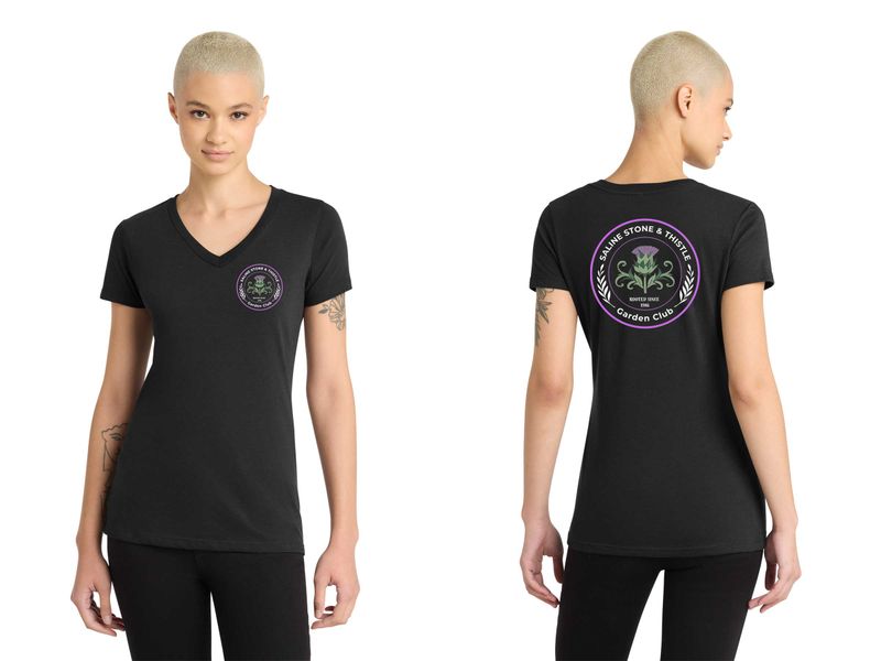 District Women’s Perfect Blend CVC V-Neck Tee- Black, Charcoal, Light Grey Heather