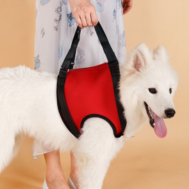 Pet Safety Care ProductsSenior Dog Help Walking AidHighly Elastic Hind Limb Joint Protection Belt Pet  Accessories Pet Products
