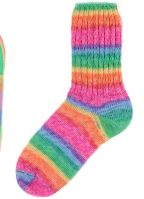 Women's Crew Sock Size 7-8 - Candy Rainbow 4871
