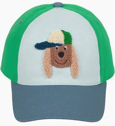 Lassig skater cap dog