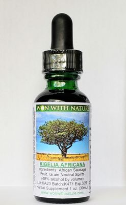 Kigelia Africana. African Sausage Fruit. Lymphatic-Skin-Immune Support. Free Shipping.