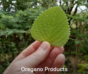 Oregano Products