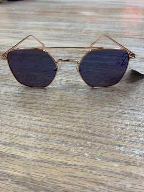 Sunglasses w/ Case- Fly